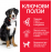 Hill's Science Plan Large Breed Adult с пилешко – Пълноценна храна за кучета от едри породи над 25 кг с умерени енергийни нужди, 1 - 6 г 